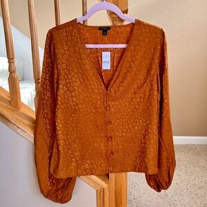 NWT Ann Taylor top, L